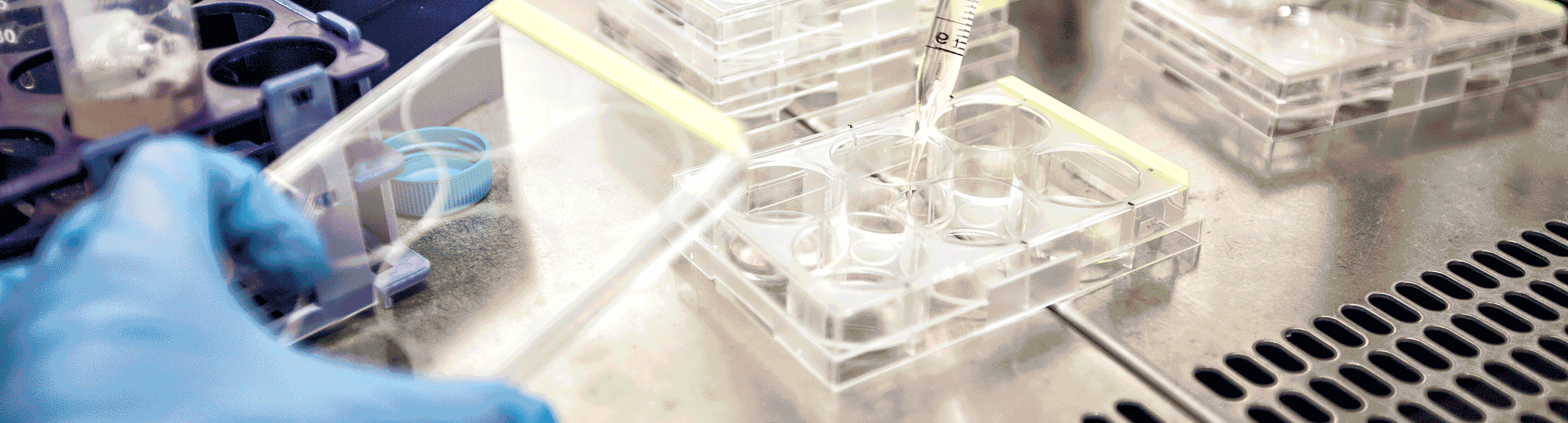 Two scenes from a laboratory working with test tubes and samples
