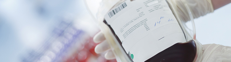 Blood bag close up